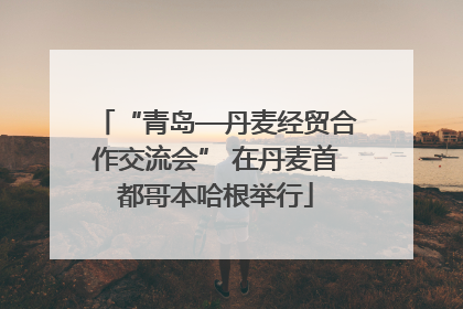 “青岛—丹麦经贸合作交流会” 在丹麦首都哥本哈根举行