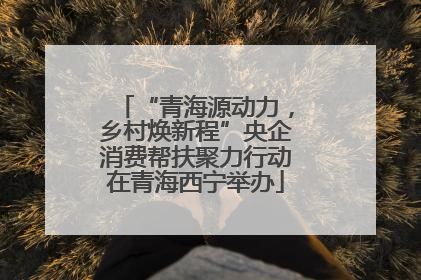 “青海源动力，乡村焕新程”央企消费帮扶聚力行动在青海西宁举办