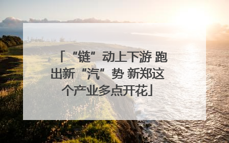 “链”动上下游 跑出新“汽”势 新郑这个产业多点开花
