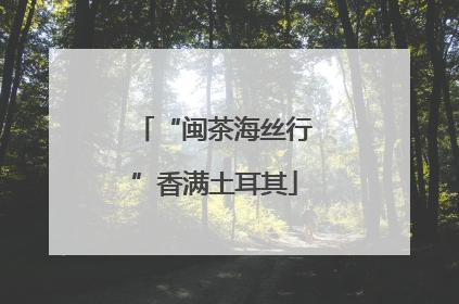 “闽茶海丝行”香满土耳其