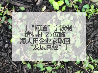 “问道”宁波制造标杆 25位临海大田企业家取回“发展真经”