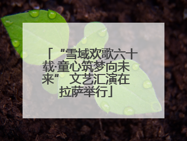 “雪域欢歌六十载·童心筑梦向未来” 文艺汇演在拉萨举行