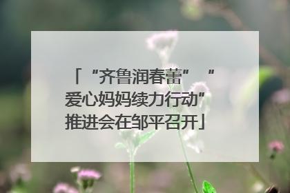 “齐鲁润春蕾”“爱心妈妈续力行动”推进会在邹平召开