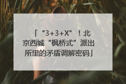 “3+3+X”！北京西城“枫桥式”派出所里的矛盾调解密码
