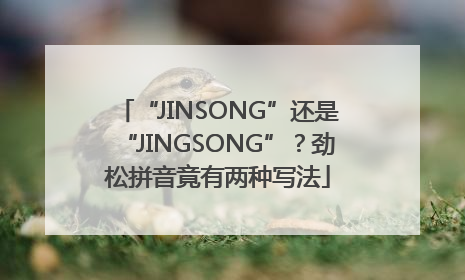 “JINSONG”还是“JINGSONG”？劲松拼音竟有两种写法