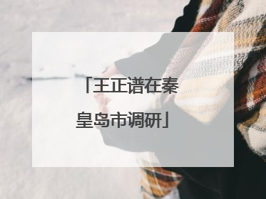 王正谱在秦皇岛市调研