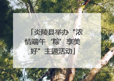 炎陵县举办“浓情端午‘粽’享美好”主题活动