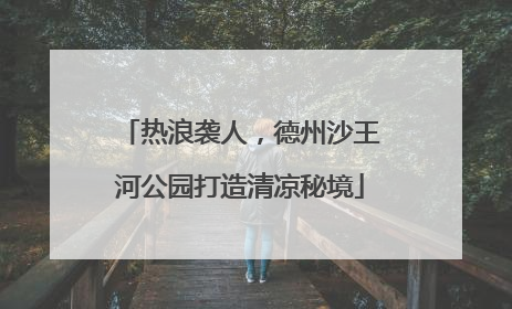 热浪袭人，德州沙王河公园打造清凉秘境