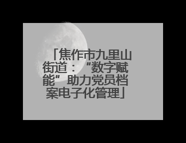 焦作市九里山街道：“数字赋能”助力党员档案电子化管理