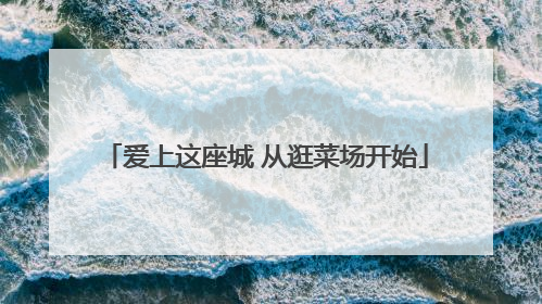爱上这座城 从逛菜场开始