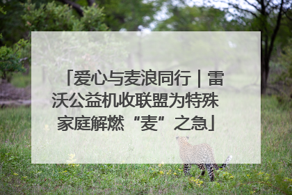 爱心与麦浪同行｜雷沃公益机收联盟为特殊家庭解燃“麦”之急