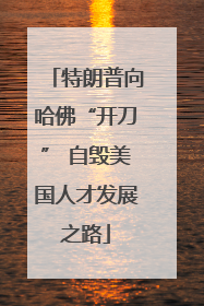 特朗普向哈佛“开刀” 自毁美国人才发展之路