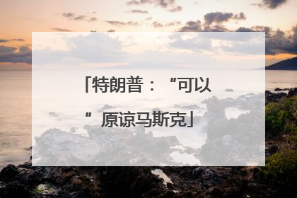 特朗普：“可以”原谅马斯克