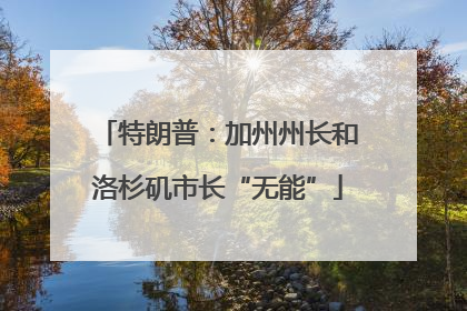 特朗普：加州州长和洛杉矶市长“无能”