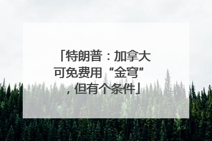 特朗普：加拿大可免费用“金穹”，但有个条件