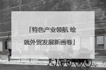 特色产业领航 绘就外贸发展新画卷