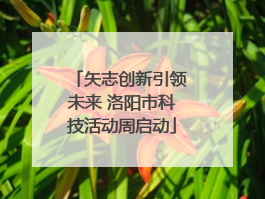 矢志创新引领未来 洛阳市科技活动周启动