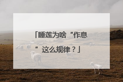 睡莲为啥“作息”这么规律？