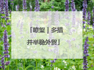 瞭望｜多措并举稳外贸