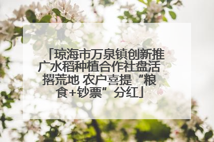 琼海市万泉镇创新推广水稻种植合作社盘活撂荒地 农户喜提“粮食+钞票”分红