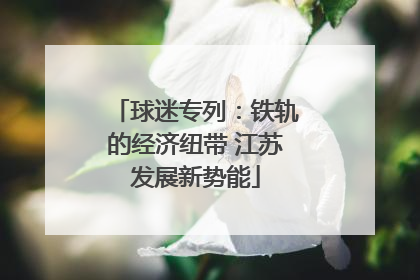 球迷专列：铁轨的经济纽带 江苏发展新势能