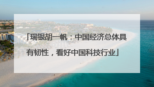 瑞银胡一帆：中国经济总体具有韧性，看好中国科技行业