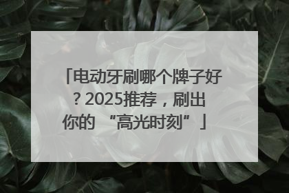 电动牙刷哪个牌子好？2025推荐，刷出你的 “高光时刻”