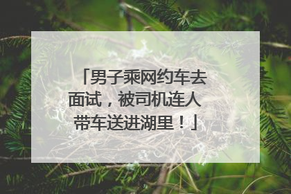 男子乘网约车去面试，被司机连人带车送进湖里！