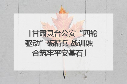 甘肃灵台公安“四轮驱动”砺精兵 战训融合筑牢平安基石