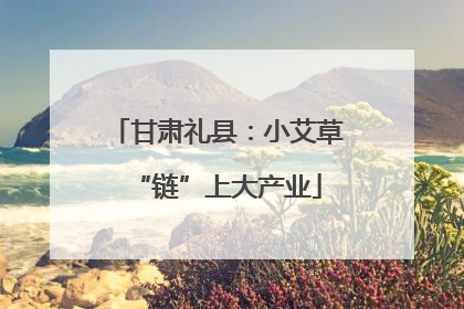 甘肃礼县：小艾草“链”上大产业