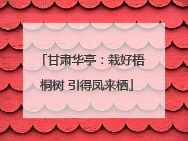 甘肃华亭：栽好梧桐树 引得凤来栖