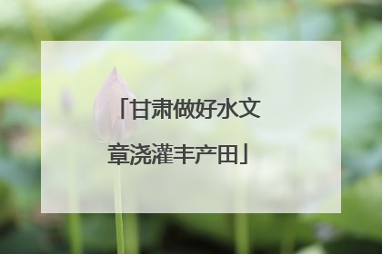 甘肃做好水文章浇灌丰产田
