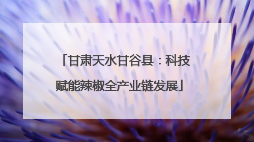 甘肃天水甘谷县：科技赋能辣椒全产业链发展
