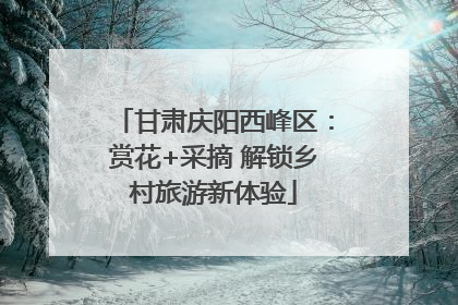 甘肃庆阳西峰区：赏花+采摘 解锁乡村旅游新体验