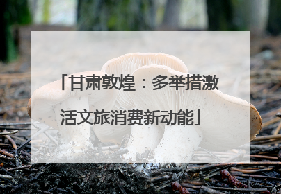 甘肃敦煌：多举措激活文旅消费新动能