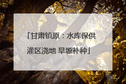甘肃镇原：水库保供 灌区浇地 旱塬补种