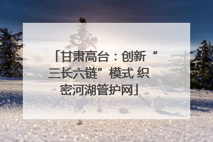 甘肃高台：创新“三长六链”模式 织密河湖管护网