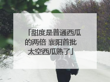 甜度是普通西瓜的两倍 襄阳首批太空西瓜熟了