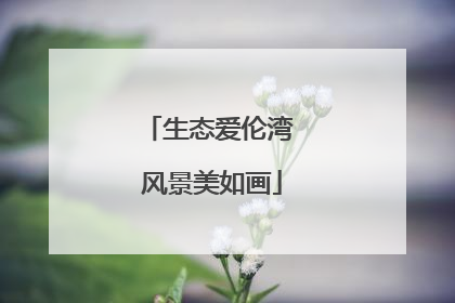 生态爱伦湾 风景美如画