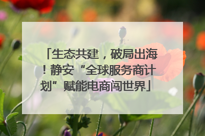 生态共建，破局出海！静安“全球服务商计划”赋能电商闯世界