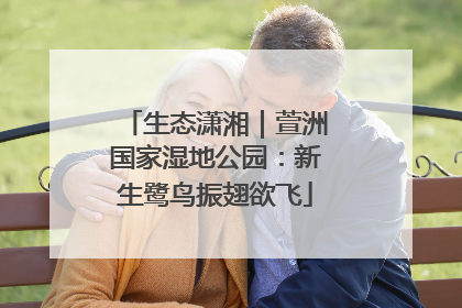 生态潇湘｜萱洲国家湿地公园：新生鹭鸟振翅欲飞