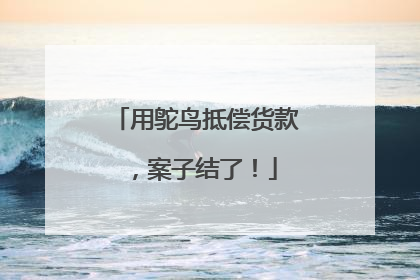 用鸵鸟抵偿货款，案子结了！