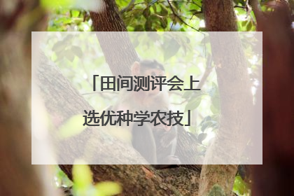 田间测评会上选优种学农技