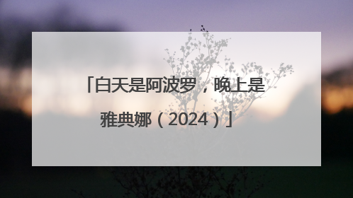 白天是阿波罗，晚上是雅典娜（2024）