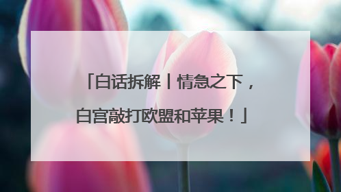 白话拆解丨情急之下，白宫敲打欧盟和苹果！