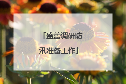 盛蕾调研防汛准备工作