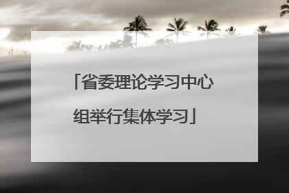 省委理论学习中心组举行集体学习