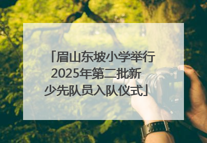 眉山东坡小学举行2025年第二批新少先队员入队仪式