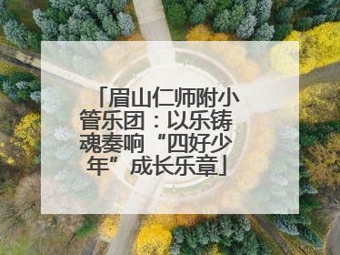 眉山仁师附小管乐团：以乐铸魂奏响“四好少年”成长乐章