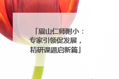 眉山仁师附小：专家引领促发展，精研课题启新篇